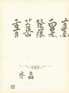 舌苔发白有裂纹有齿痕是怎么回事