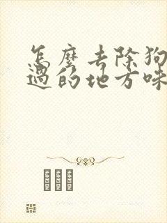 怎么去除狗狗尿过的地方味道