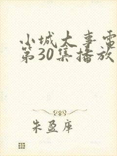 小城大事电视剧第30集播放