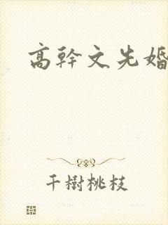 高干文先婚后爱封面