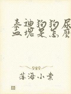 泰迪狗狗尿里有血块是怎么回事