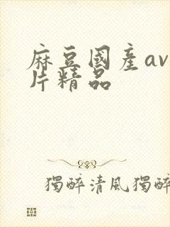 麻豆国产av国片精品