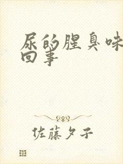 尿的腥臭味怎么回事封面