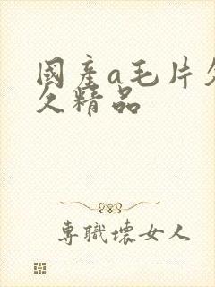 国产a毛片久久久精品