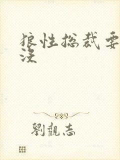 狼性总裁要够了没