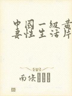 中国一级黄色夫妻性生活片