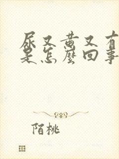 尿又黄又有泡沫是怎么回事