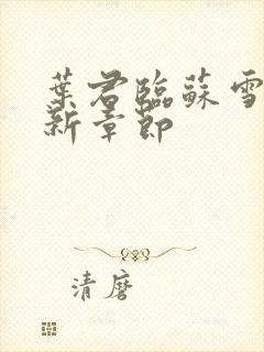 叶君临苏雪儿最新章节封面