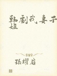 韩剧我妻子的姐姐