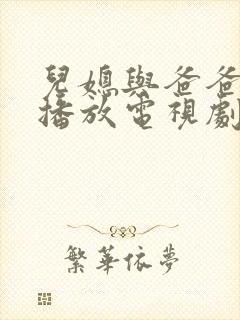 儿媳与爸爸免费播放电视剧全集