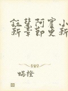 钰慧阿宾小说最新章节更新封面