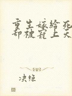 重生嫁给死对头却被宠上天