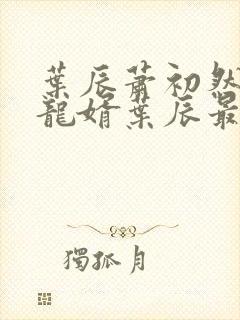 叶辰萧初然上门龙婿叶辰最新