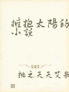 拥抱太阳的月亮小说