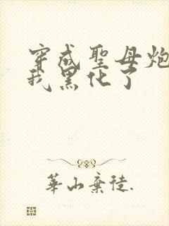 穿成圣母炮灰后我黑化了