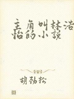 主角叫林浩李静怡的小说封面