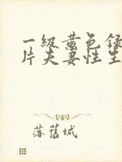 一级黄色录像影片夫妻性生活片