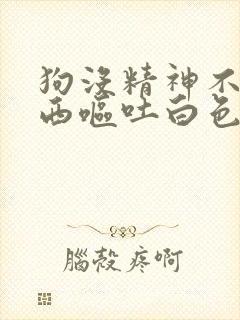 狗没精神不吃东西呕吐白色唾液