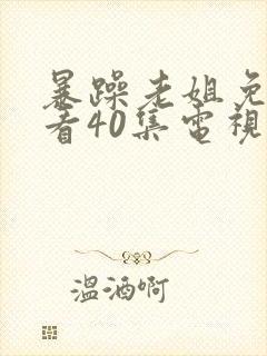 暴躁老姐免费观看40集电视剧