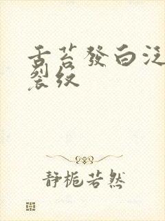 舌苔发白泛黄有裂纹