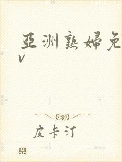 亚洲熟妇免费av