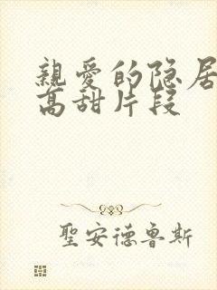 亲爱的隐居先生高甜片段