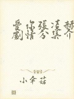 爱你张凌赫分集剧情分集介绍