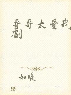 哥哥太爱我了日剧