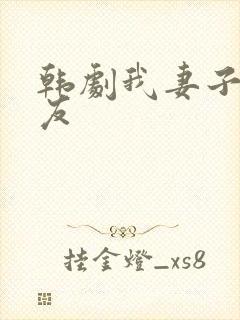 韩剧我妻子的朋友