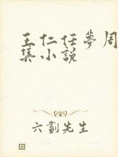 王仁任梦周璐全集小说封面