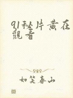 91秘片黄在线观看
