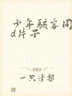 少年骇客同人3d片子封面