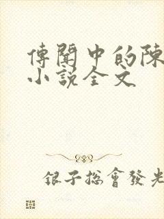 传闻中的陈芊芊小说全文封面