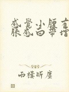 感觉小腹有点坠胀感白带增多