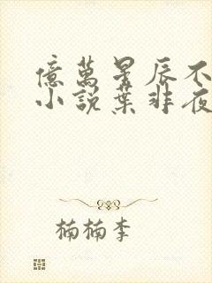 亿万星辰不及你小说叶非夜