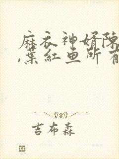 麻衣神婿陈黄皮,叶红鱼所有章节