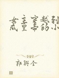 女主穿越到古代成皇帝的小说