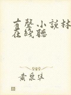 有声小说林雨欣在线听封面