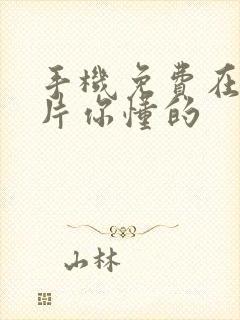 手机免费在线看片你懂的