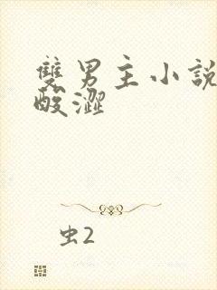 双男主小说推荐酸涩封面