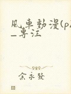风车动漫(p)_专注