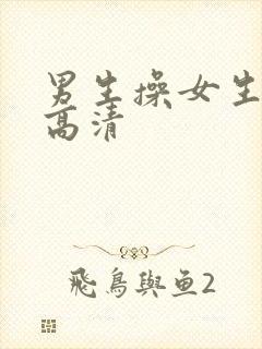 男生操女生视频高清