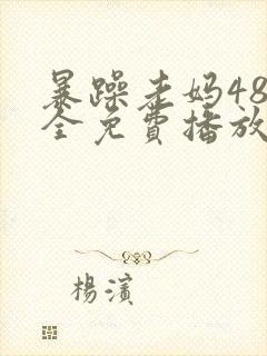暴躁老妈48集全免费播放