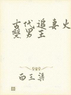 古代追妻火葬场双男主