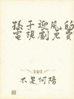 孙千迎风的青春电视剧免费观看