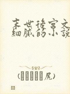 末世后宫文描写细腻的小说封面