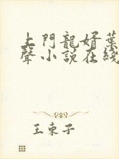 上门龙婿叶辰有声小说在线收听