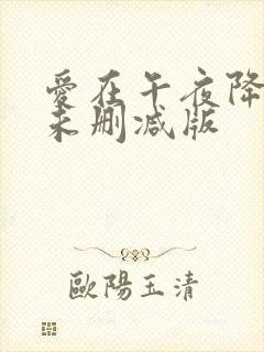 爱在午夜降临前未删减版