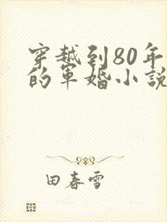 穿越到80年代的军婚小说