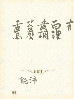 舌苔黄白有齿痕怎么调理